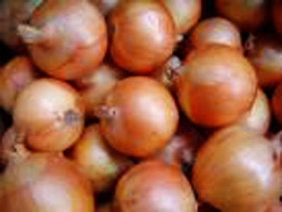 Round Red Onion Fresh Vegetables