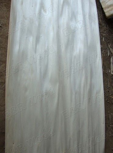 Natural/Bleached Poplar Veneer