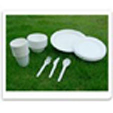 Disposable Bagasse TAbleware