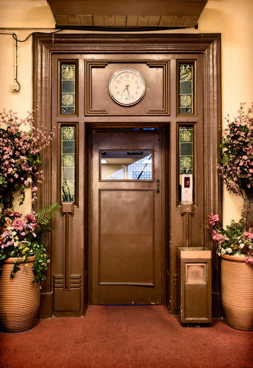 Hydraulic Elevator Door