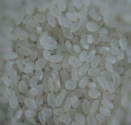  5% टूटा हुआ छोटा चावल - ग्रेड A