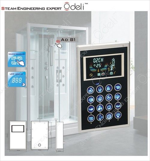 AD 81 Steam Room Controller