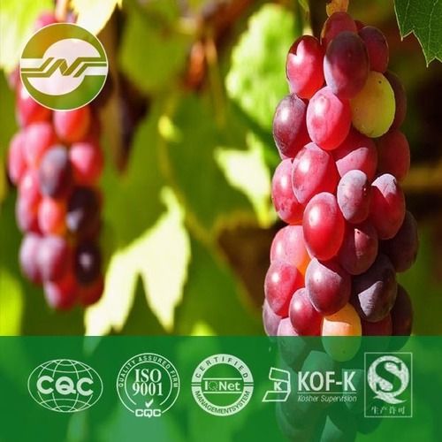 Grape Seed Extract