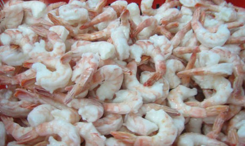 PDTO Shrimps