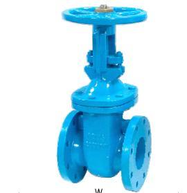 Cast Iron Or Ductile Iron Rising Stem Gate Valve