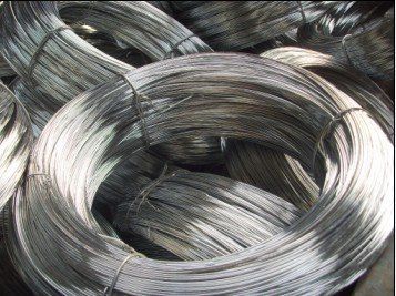 Galvanized Wire Mesh