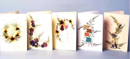 Greeting Cards