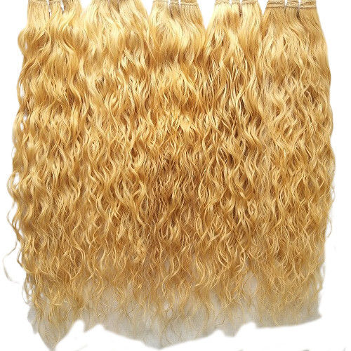 Indian Blonde Curly Single Donor Weft Human Hair Extensions At Best Price In Ludhiana Hair