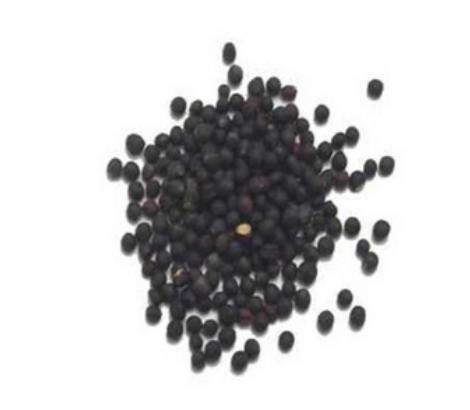 Black Mustard Seeds