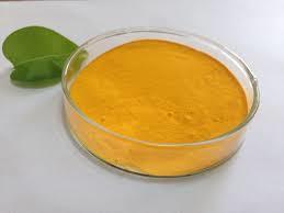 Natural Curcumin Powder Extract