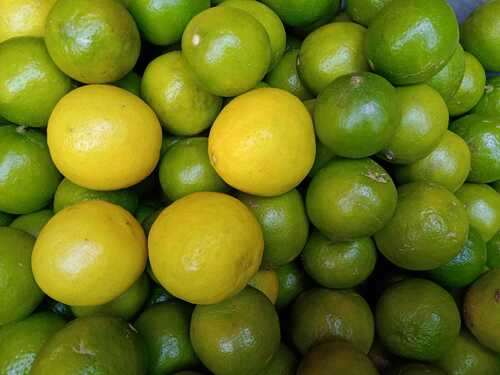 Fresh Juicy Organic Lemon