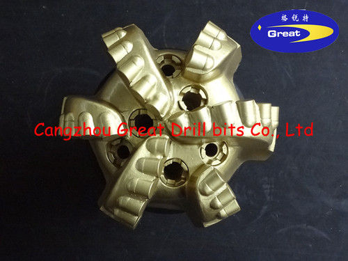 PDC Drill Bit (8-1/2" GD1306)