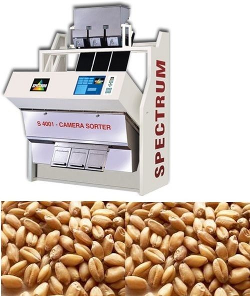 Wheat Colour Sorting Machine - Capacity: 1 T/Hr