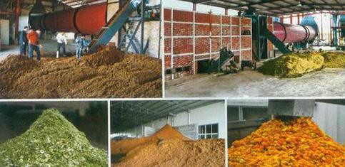Biomass Dryer