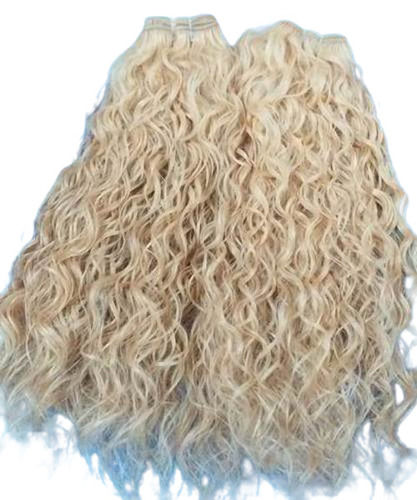 22 Inch Long Raw Curly Blonde Human Hair Application: Profesional