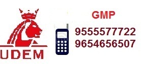 GMP Certification Services In Delhi By Udem India