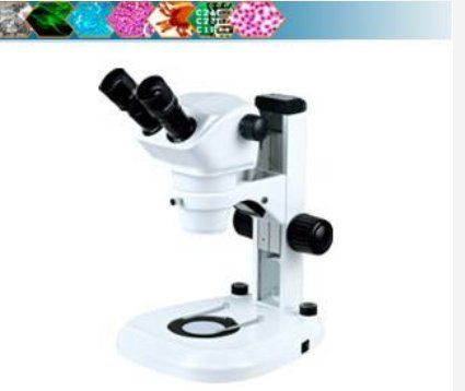 MS650B Stereo Microscope