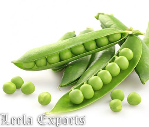 Broad Beans