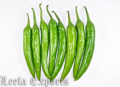 Green chilly