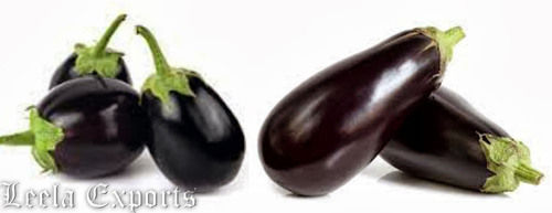 Brinjal 