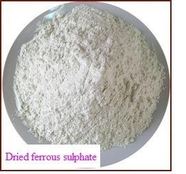 Dried Ferrous Sulphate (Ip, Bp,Usp, Pass) 