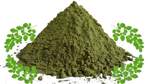 Moringa Leaves Powders