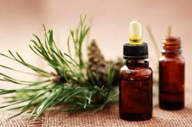 Rosemary Essential Oil