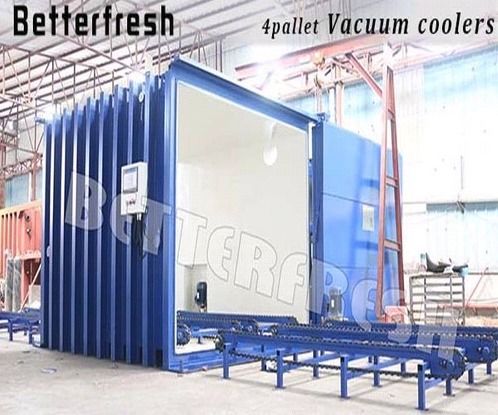 Betterfresh Cabbage Mushroom Vegetable Vacuum Cooler/Chiller/Cooling Machine/Tube