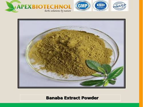 Green Brown Fine Powder Banaba Extract