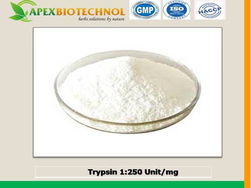 Trypsin