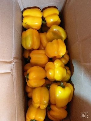 Red And Yellow Capsicum