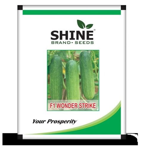 cucumber seed