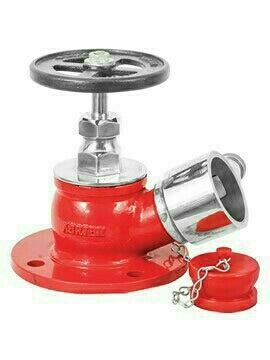 Fire Hydrant Valve SS