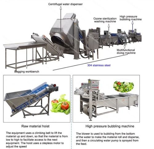 Automatic High Performance Fruit Processing Plant