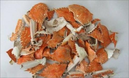 High Quality Crab Shells
