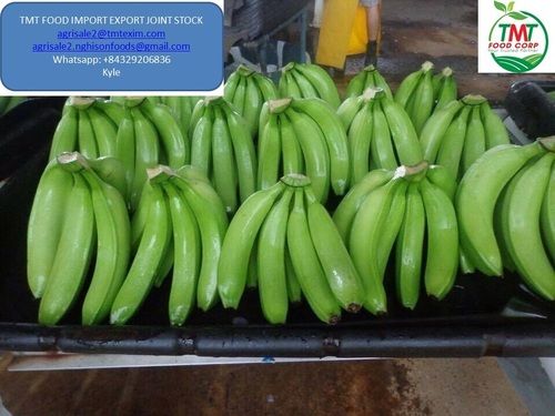 Supreme Quality Fresh Cavendish Banana
