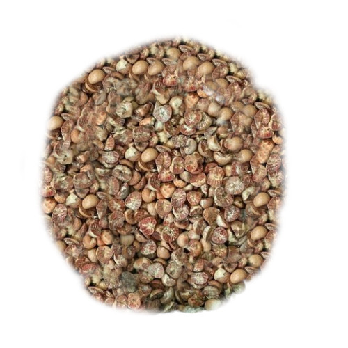 Natural Sun Dried Split Betel Nut - Broken (%): <5%