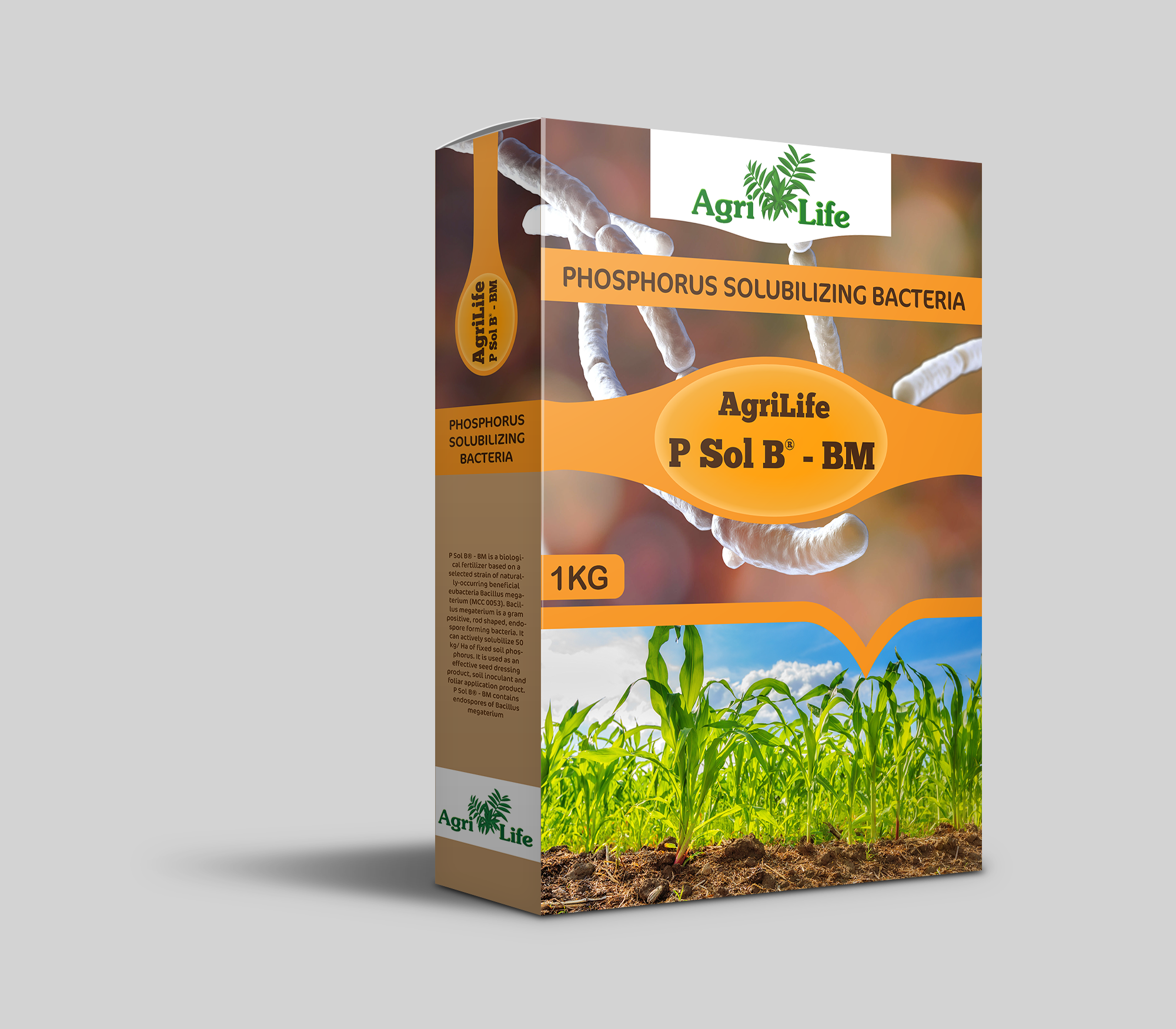 P Sol B -Bm (Psb - Phosphorus Solubilizing Bacteria) - Application: Organic Fertilizer