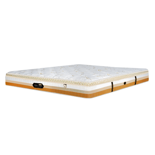 Orthopedic Coir Mattress - Natural Fibre, Medium Hardness, Custom Sizes | Anti-Bacterial, Moisture Control, Breathable Sleep Solution