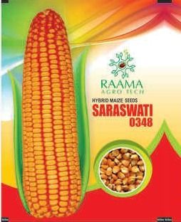 Natural Maize (Saraswati 0348) Application: Women Material