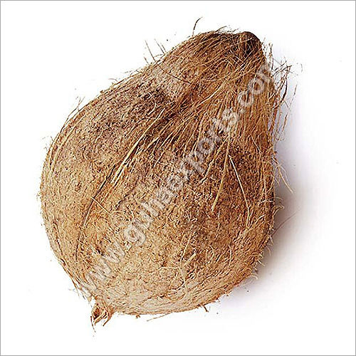  सेमी हस्केड नारियल