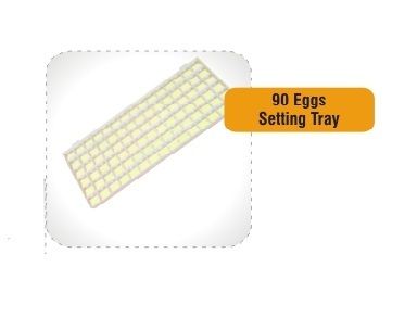 Egg Setting Tray