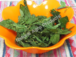 Dried Mint Leaves