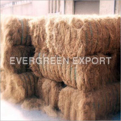 Coir Fibre