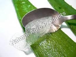 Aloe Vera Pulp - Extracted from Natural Leaves, Enriched with Pectic Acids and Essential Minerals for Health Benefits