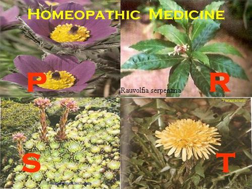 Homeopathic Medicine - P - T