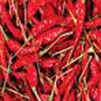 Red Chilli Dried - Premium Quality, Rich Flavor and Aroma | Ideal for Various Cuisines and Dishes