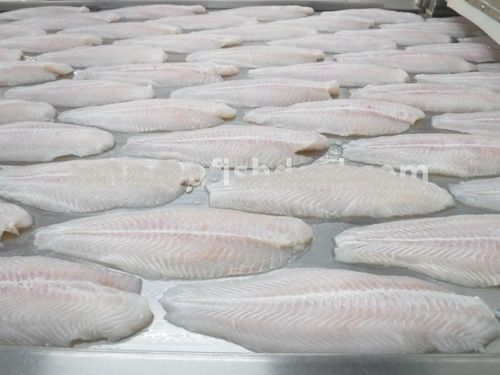 frozen pangasius steak