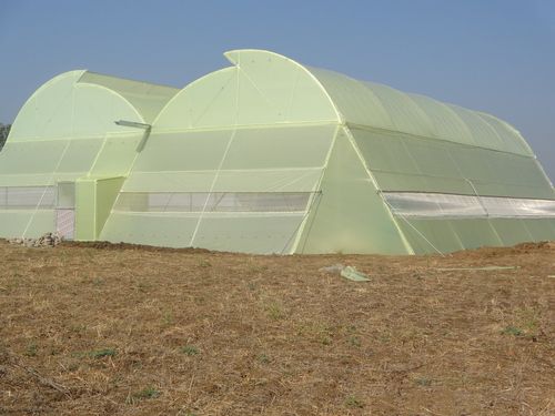 Naturally Ventilated Agriculture Polyhouse