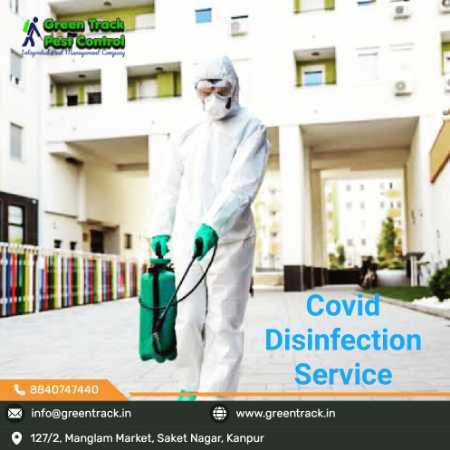 Pest Control Service